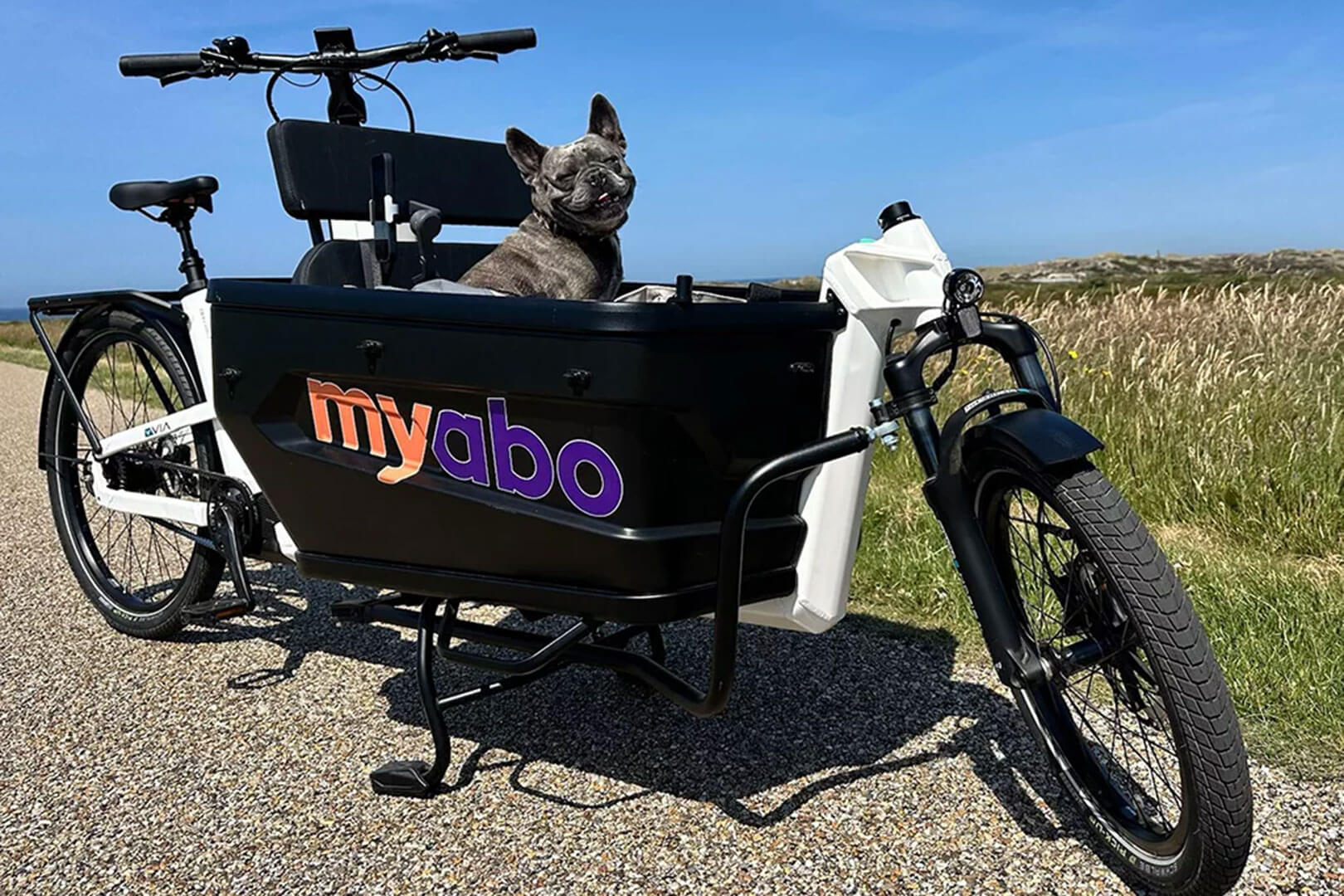 VIA Lastenrad mit Hund